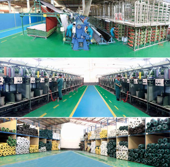 All Victory Grass (Guangzhou) Co., Ltd lini produksi pabrik 1
