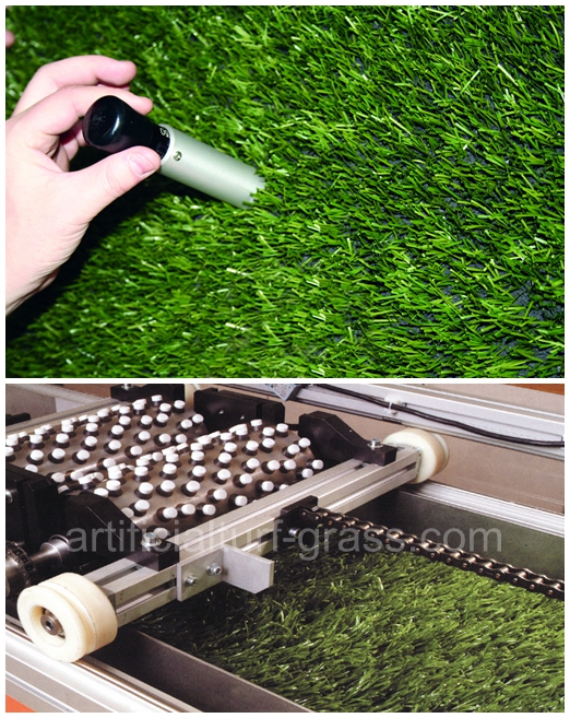 All Victory Grass (Guangzhou) Co., Ltd kontrol kualitas 0