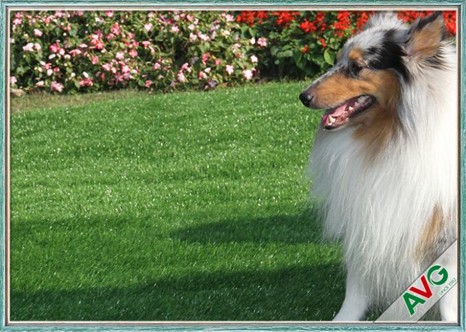 Removable Eco - Friendly Synthetic Pet Artificial Turf Untuk Pet Cat Carpet / Natural Garden 0