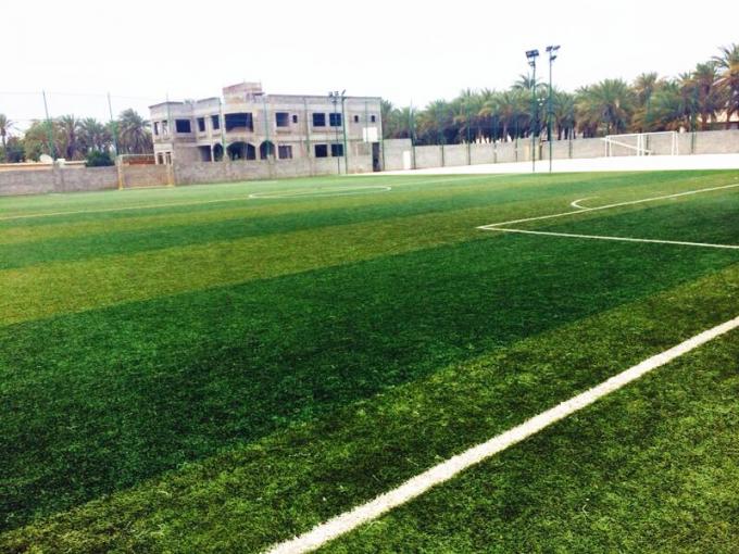 berita perusahaan terbaru tentang Lapangan Sepak Bola Universitas Normal Mongolia Dalam  0