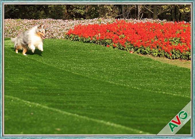 Rumput Buatan Hewan Peliharaan Anjing Tahan UV / Instalasi Ramah Lingkungan Rumput Sintetis 0