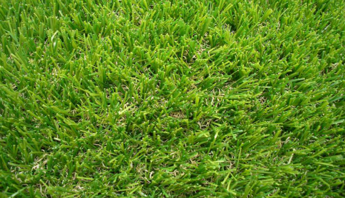berita perusahaan terbaru tentang Perbandingan antara rumput sintetis dan rumput asli  2