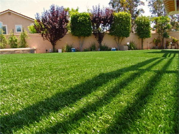 Garden Grass 25mm Cesped Grass Artificial Grass Wall Dekoratif Luar Ruangan 0