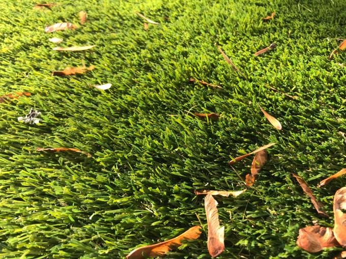 Gulungan Rumput Karpet Buatan Taman 25mm Warna Alami 0