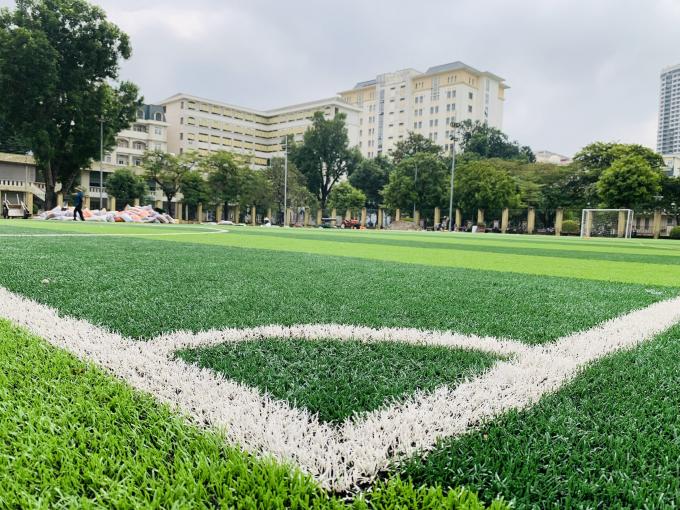 Rumput Hijau Rumput Buatan Rumput Sintetis Rumput Alami Rumput Buatan Sepak Bola 0