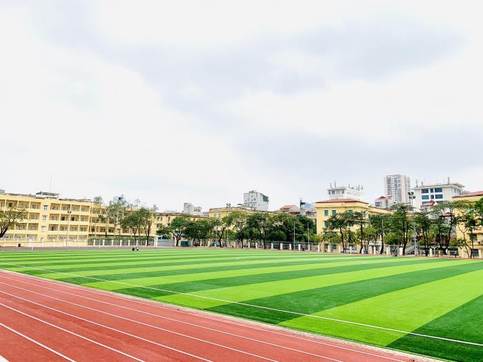 Soccer Cesped Artificial Futbol Grass lapangan sepak bola rumput sintetis Untuk Lapangan Sepak Bola 0