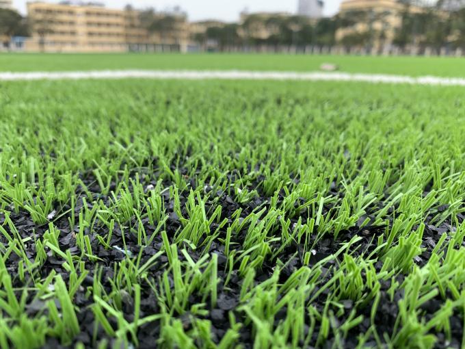 AVG 60mm Karpet Rumput Rumput Untuk Lapangan Sepak Bola Pabrik Luar Ruangan 0