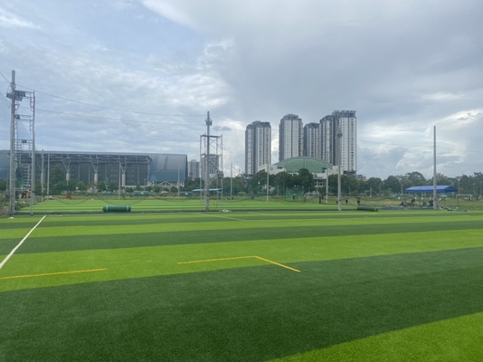 CINA 55mm Berlian Bentuk Sepak Bola Rumput Buatan Rumput Sepak Bola Palsu pemasok