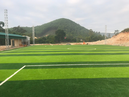 CINA Football Grass Football Grass 55mm Olahraga Rumput Rumput Buatan pemasok