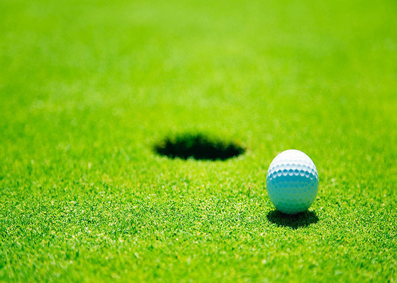 CINA Kantor Tampak Nyata / Perumahan Golf Indoor Puting Mat Rumput Buatan Tahan Air pemasok
