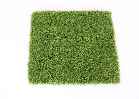 CINA Karpet Rumput Buatan Golf Puting Hijau yang Fantastis, Bahan PE Rumput Sintetis Golf pemasok