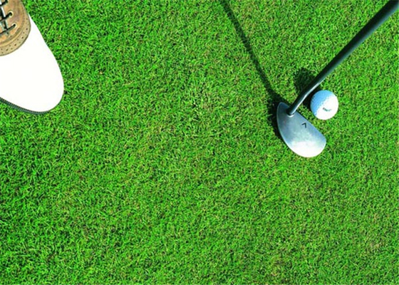 CINA Rumput Buatan Golf Sehat, Rumput Golf Sintetis Harapan Umur Panjang pemasok