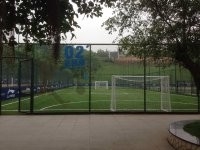 CINA Rumput Buatan Kepadatan Tinggi Untuk Lapangan Sepak Bola, Rumput Sintetis Sepak Bola pemasok