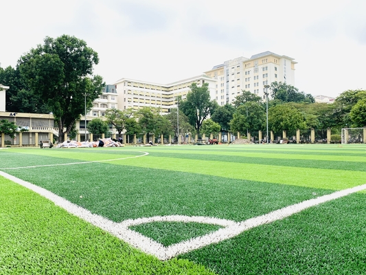 CINA 55mm Lapangan Sepak Bola Bisbol Rumput Sintetis Sepak Bola Hijau Rumput Buatan pemasok