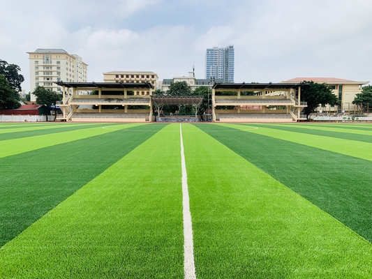 CINA Lantai Olahraga Rumput Buatan 55mm Untuk Lapangan Sepak Bola pemasok