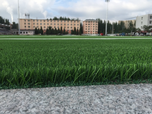 CINA Woven Backing Soccer Turf Grass Aritificial Untuk Lapangan Sepak Bola pemasok