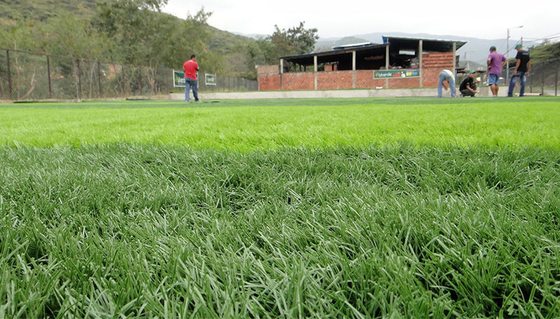 Lantai Rumput Buatan Untuk Rumput Sintetis Taman Rumput Buatan 35mm pemasok