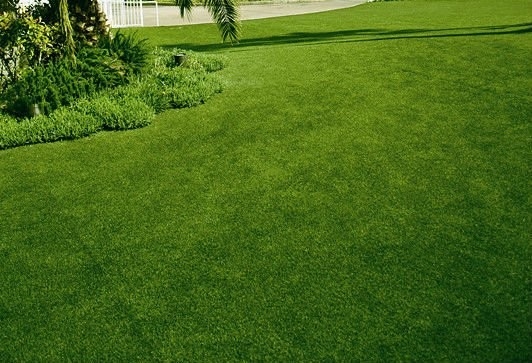 Taman Rumput Buatan 35cm Benang Rumput Sintetis Untuk Rumput Taman Rumput Buatan pemasok