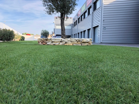 Lansekap Rumput 25mm C Bentuk Rumput Buatan Untuk Rumput Lansekap Taman pemasok