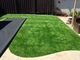 Green Carpet Roll Garden Rumput Buatan 60mm Tinggi Lebar Bergelombang Matte pemasok