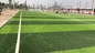 Kualitas Pro Disetujui Sepak Bola Sintetis Rumput Buatan &amp; Lantai Olahraga 55mm pemasok