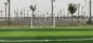 60mm Profesi Rumput Sintetis Rumput Buatan Cesped Sepak Bola Rumput Buatan Untuk Lantai Olahraga pemasok
