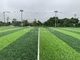 FIFA Turf Football Grass 40mm Football Turf Artificial Grass Soccer pemasok
