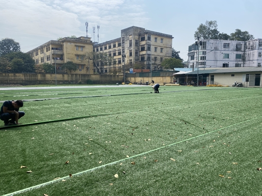 Komposisi PE 50mm Rumput Sepak Bola Palsu Untuk Outdoor Indoor pemasok