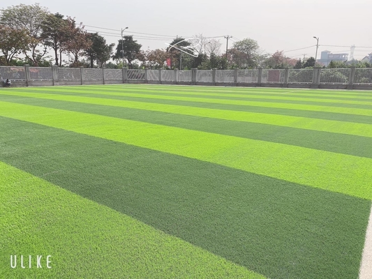 Rumput Buatan Sepak Bola Hijau Lembut 55m Tinggi Berlian Unik Diperkuat pemasok