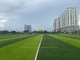 Diamond 100 Lapangan Sepak Bola Rumput Buatan Tinggi 45m pemasok