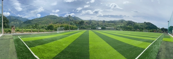 60mm Multi Purpose Artificial Football Grass Untuk Lapangan Sepak Bola Luar Ruangan pemasok