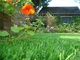 Rumput Buatan Taman Daur Ulang Hijau Untuk Dekorasi, Rumput Buatan Rumah pemasok