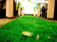 Ketahanan Abrasive Residential Indoor Artificial Grass, Dekoratif Rumput Palsu pemasok