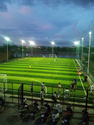 Football Grass 50mm Carpet Grass Artificial Grass Football Soccer Carpet pemasok