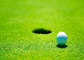 Kantor Tampak Nyata / Perumahan Golf Indoor Puting Mat Rumput Buatan Tahan Air pemasok