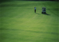 Ketahanan Abrasi Tinggi Golf Karpet Rumput Buatan Rumah Golf Luar Ruangan Puting Hijau pemasok
