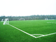 Lansekap Lapangan Sepak Bola Rumput Buatan Rumput Palsu Sertifikasi SGF ISO9001 pemasok