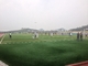 Rumput Buatan Kepadatan Tinggi Untuk Lapangan Sepak Bola, Rumput Sintetis Sepak Bola pemasok