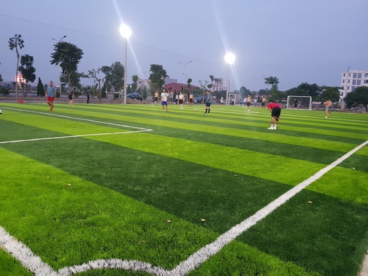 AVG 60MM Rumput Buatan Karpet Sepak Bola Buatan Rumput Buatan pemasok