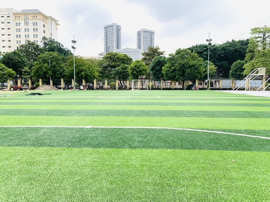 Rumput Hijau Rumput Buatan Rumput Sintetis Rumput Alami Rumput Buatan Sepak Bola pemasok