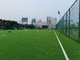 Lantai Olahraga Rumput Buatan Sepak Bola Profesional Untuk Sepak Bola pemasok
