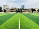 Lantai Olahraga Rumput Buatan 55mm Untuk Lapangan Sepak Bola pemasok