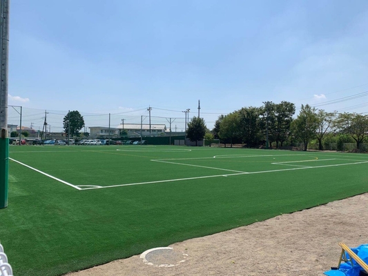 Lapangan Sepak Bola Rumput Lapangan Sepak Bola Rumput Buatan Harga Karpet Lapangan Sepak Bola pemasok