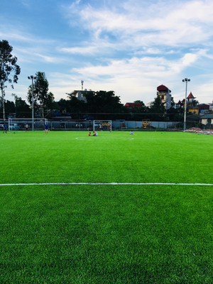 Rumput Rumput Bisbol Rumput Buatan Untuk Lapangan Sepak Bola pemasok