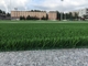 Woven Backing Soccer Turf Grass Aritificial Untuk Lapangan Sepak Bola pemasok