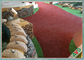 Lapisan Lateks C Berbentuk Karpet Rumput Palsu Dalam Ruangan Untuk Dekorasi Rumah Apple Green pemasok