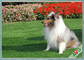Removable Eco - Friendly Synthetic Pet Artificial Turf Untuk Pet Cat Carpet / Natural Garden pemasok