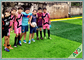 Sepak Bola Batang Panjang Rumput Sintetis Sepak Bola Hijau Alami untuk Lantai Olahraga pemasok