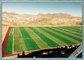 Tidak Beracun Mudah Memasang Sintetic Soccer Rumput Buatan Lapangan Olahraga Rumput pemasok
