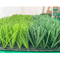 Rumput Karpet Sepak Bola Rumput Buatan 40mm Tinggi 13000Detex pemasok